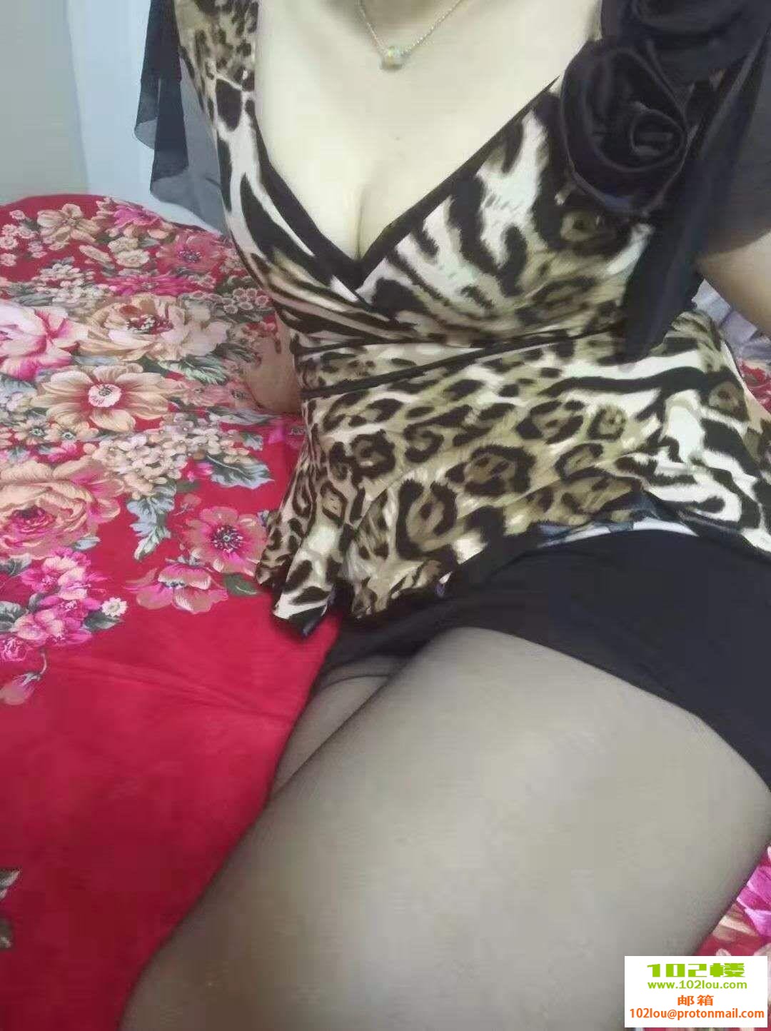 bde4132c1669fb28ecfe0eada8bae9b1.jpg
